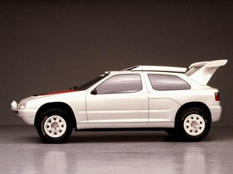 zx_rallye_raid_prototype_1990.jpg